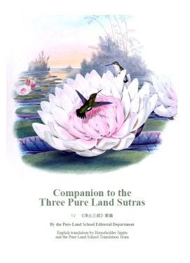 Kommentar til De Tre Pure Land Sutraer (Shandao-traditionen).